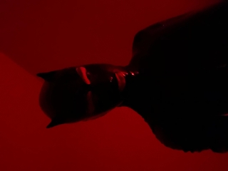 rubberdevil
