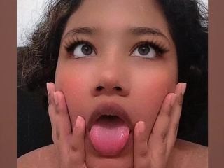 shelltits
