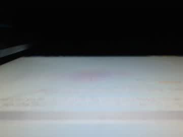 sofi_pink18